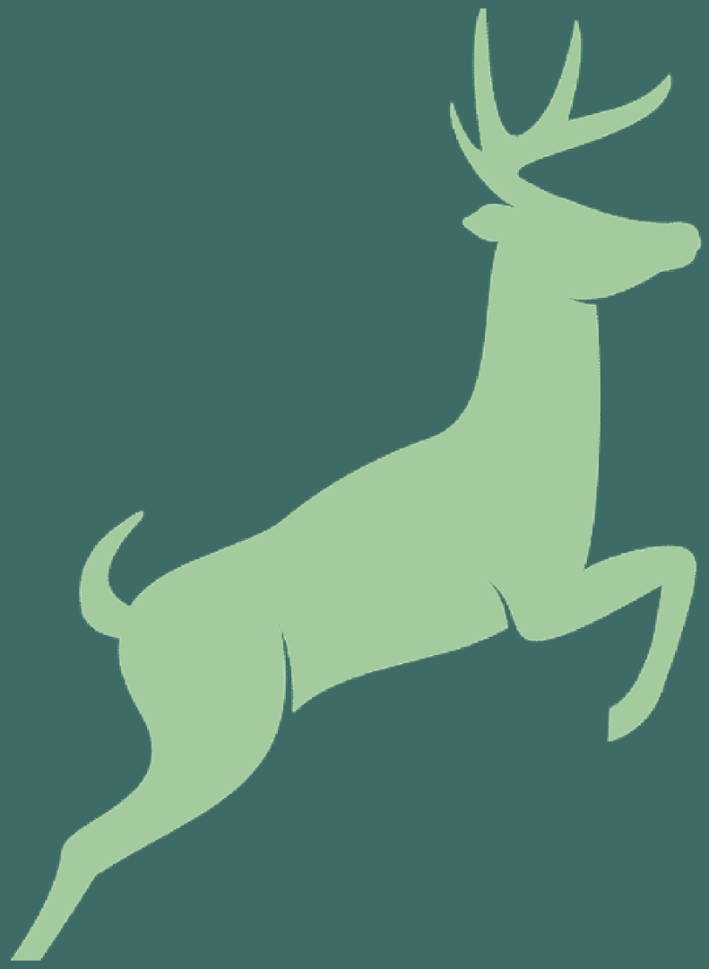 Glenhold Bookkeeping